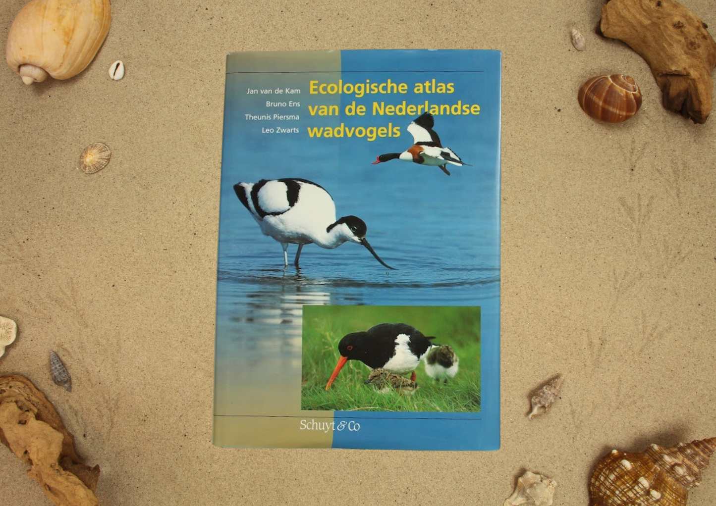Waddeneiland boekenpakket