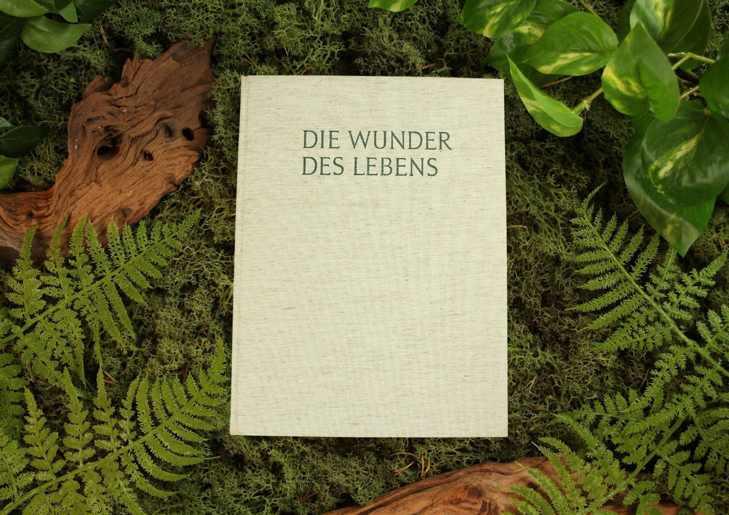 Die wunder des lebens