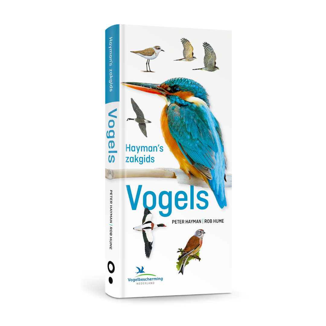 Hayman's Zakgids Vogels - Peter Hayman, Rob Hume