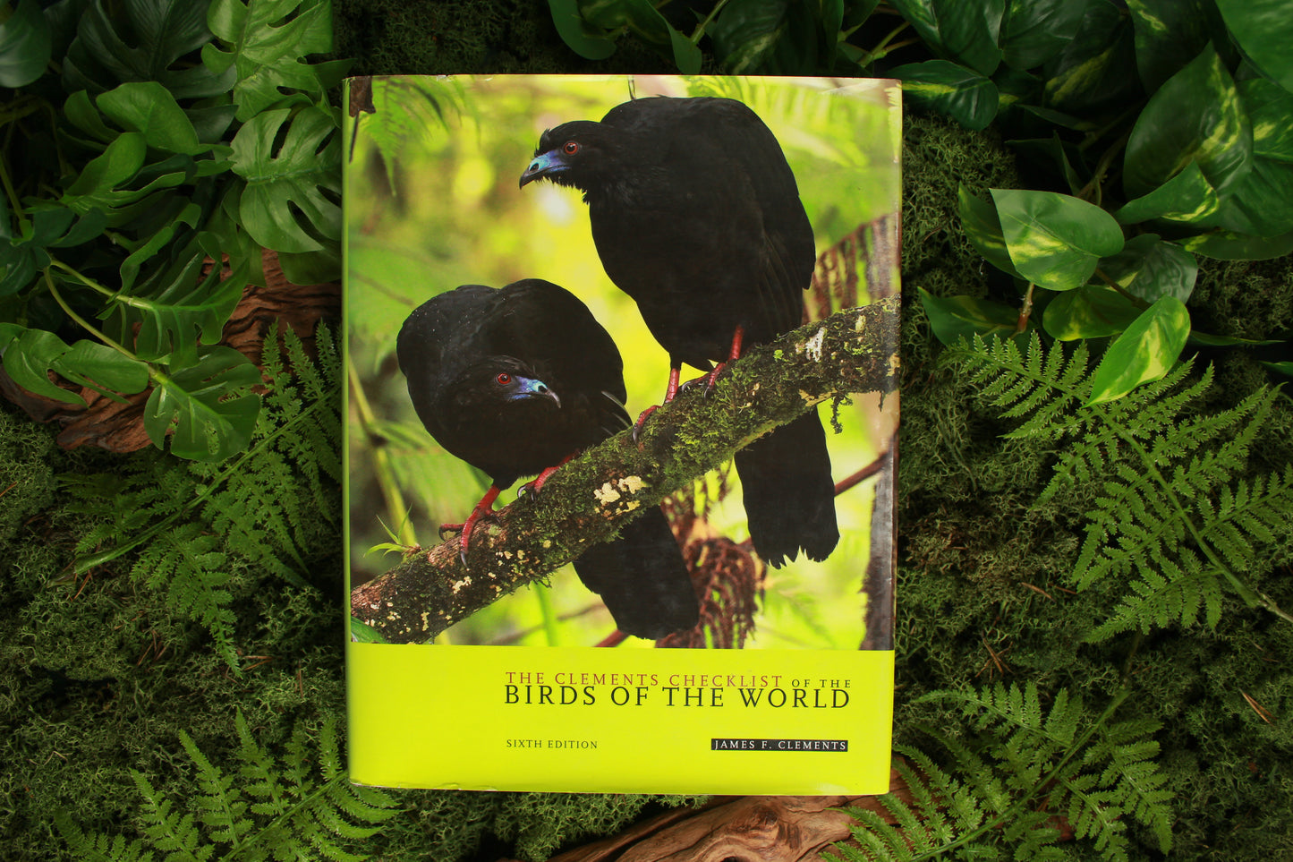 Clements Checklist Of The Birds Of The World – James F. Clements