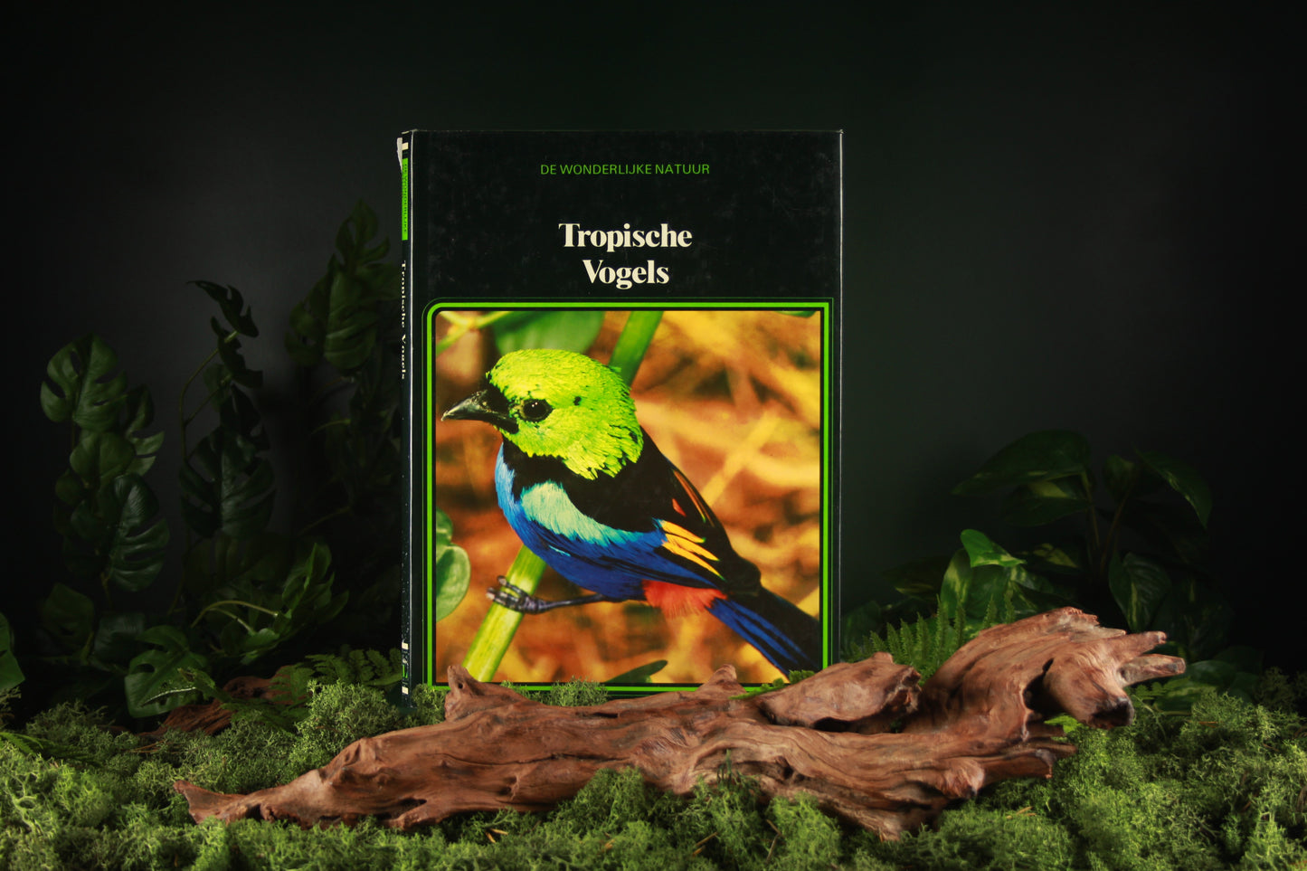 Tropische Vogels - Girgitta Bouland