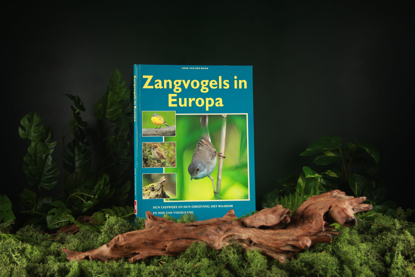 Zangvogels in Europa - Henk van den Brink