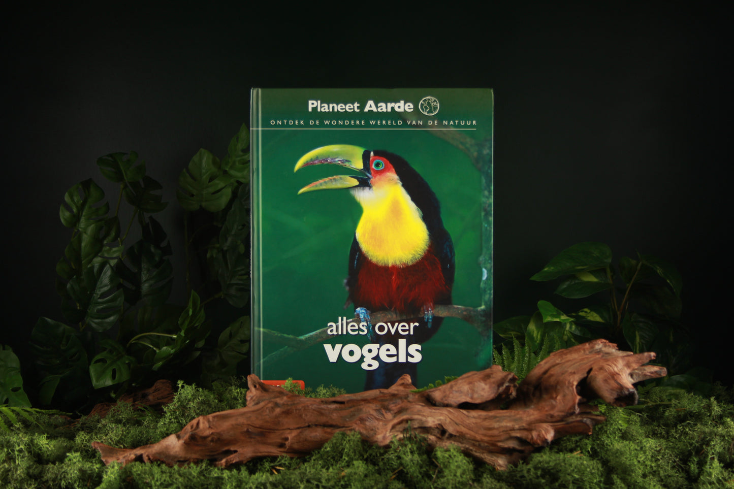 Alles over vogels - David Burnie