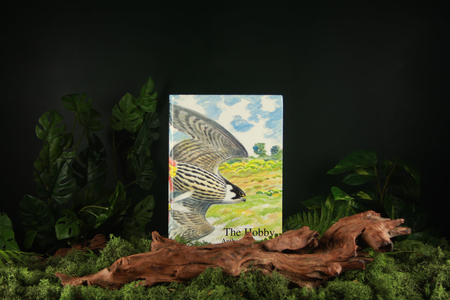 The Hobby - Anthony Chapman