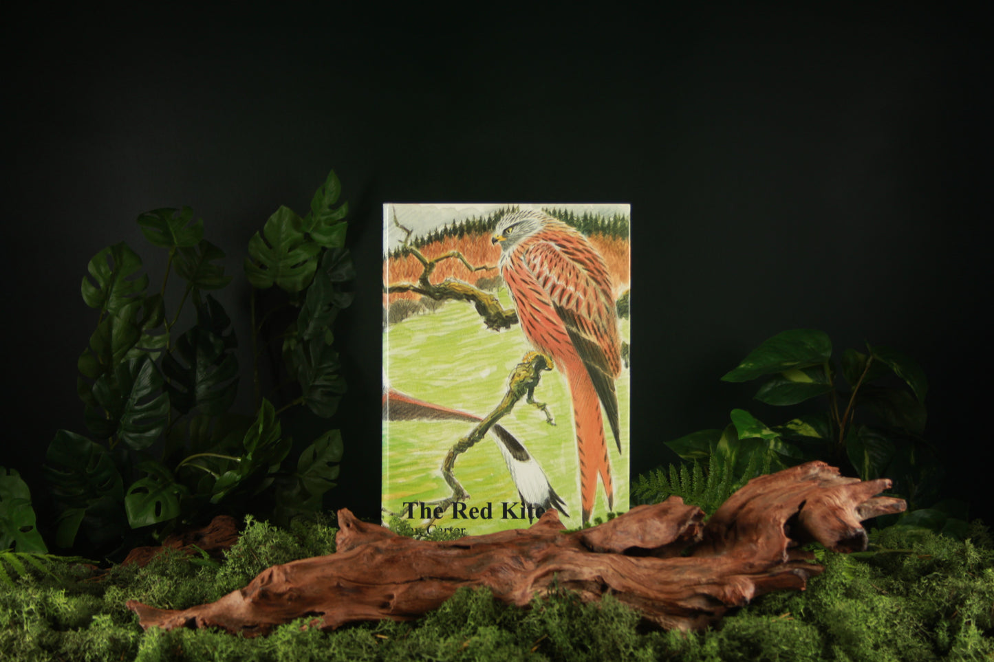 The Red Kite - Ian Carter