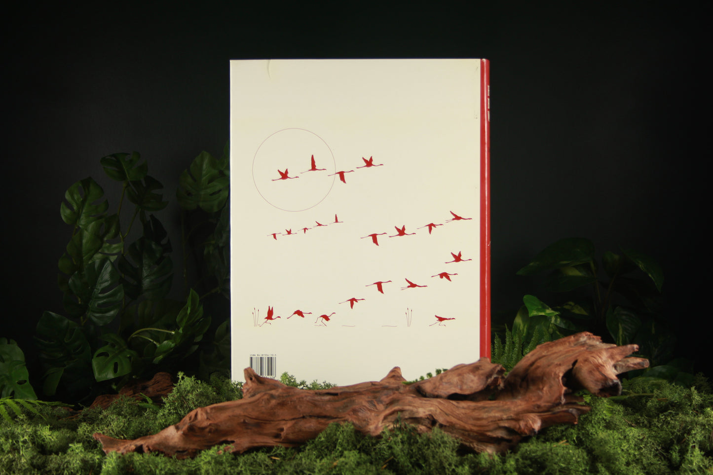 Handbook of the Birds of the World – Volume 1 Ostrich to Ducks