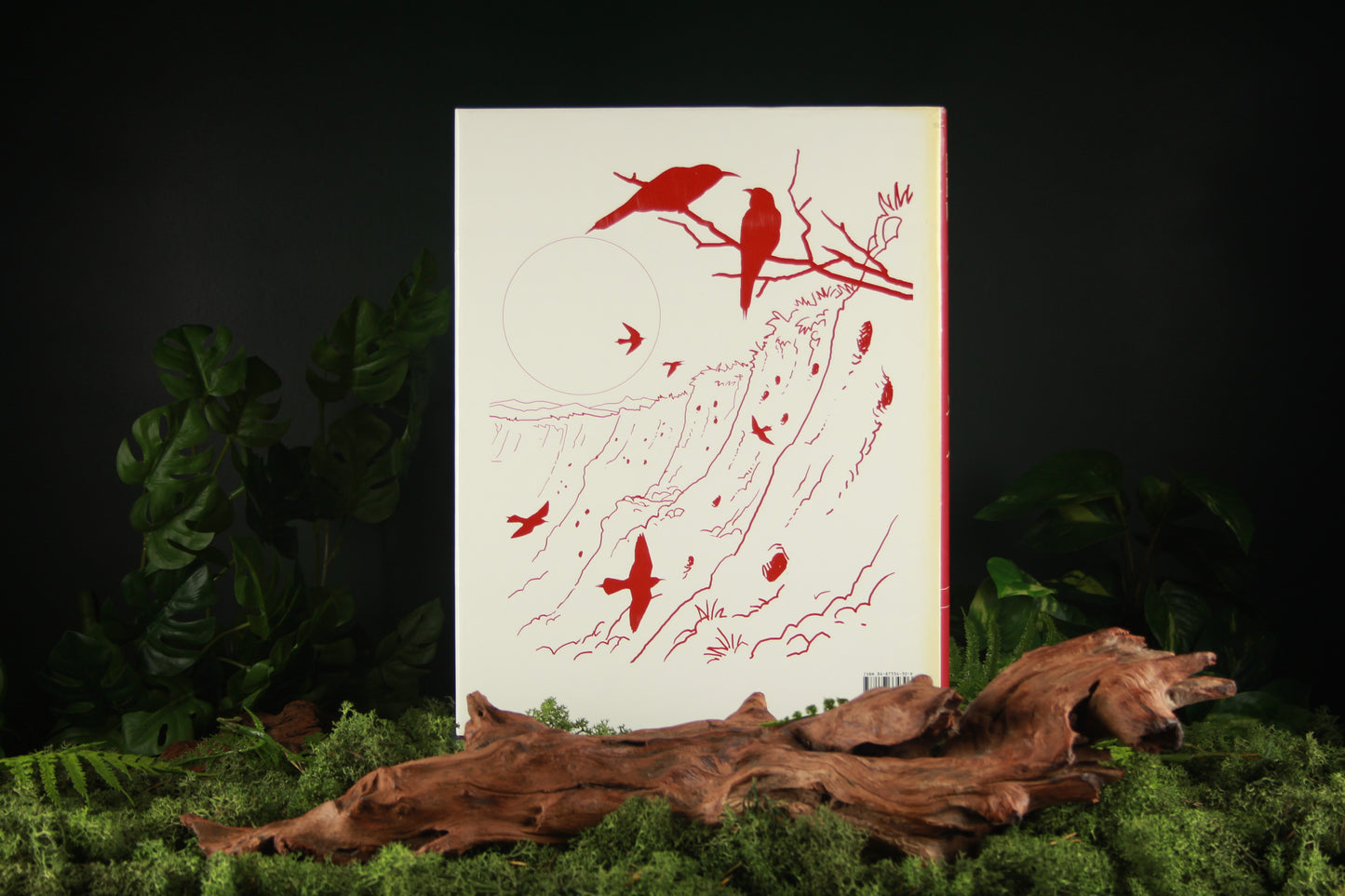 Handbook of the Birds of the World – Volume 6 Mousebirds to Hornbills