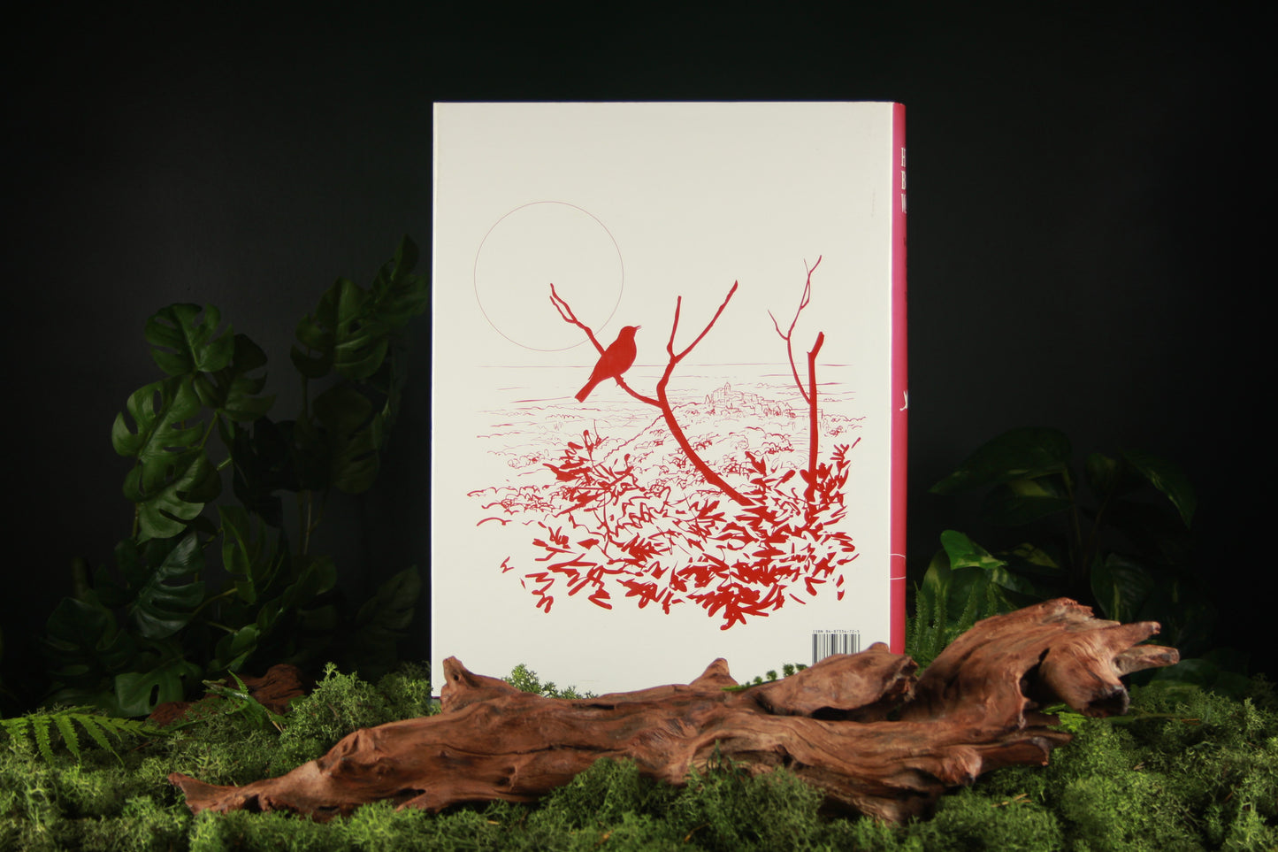 Handbook of the Birds of the World – Volume 10 Cuckoo-shrikes to Thrushes