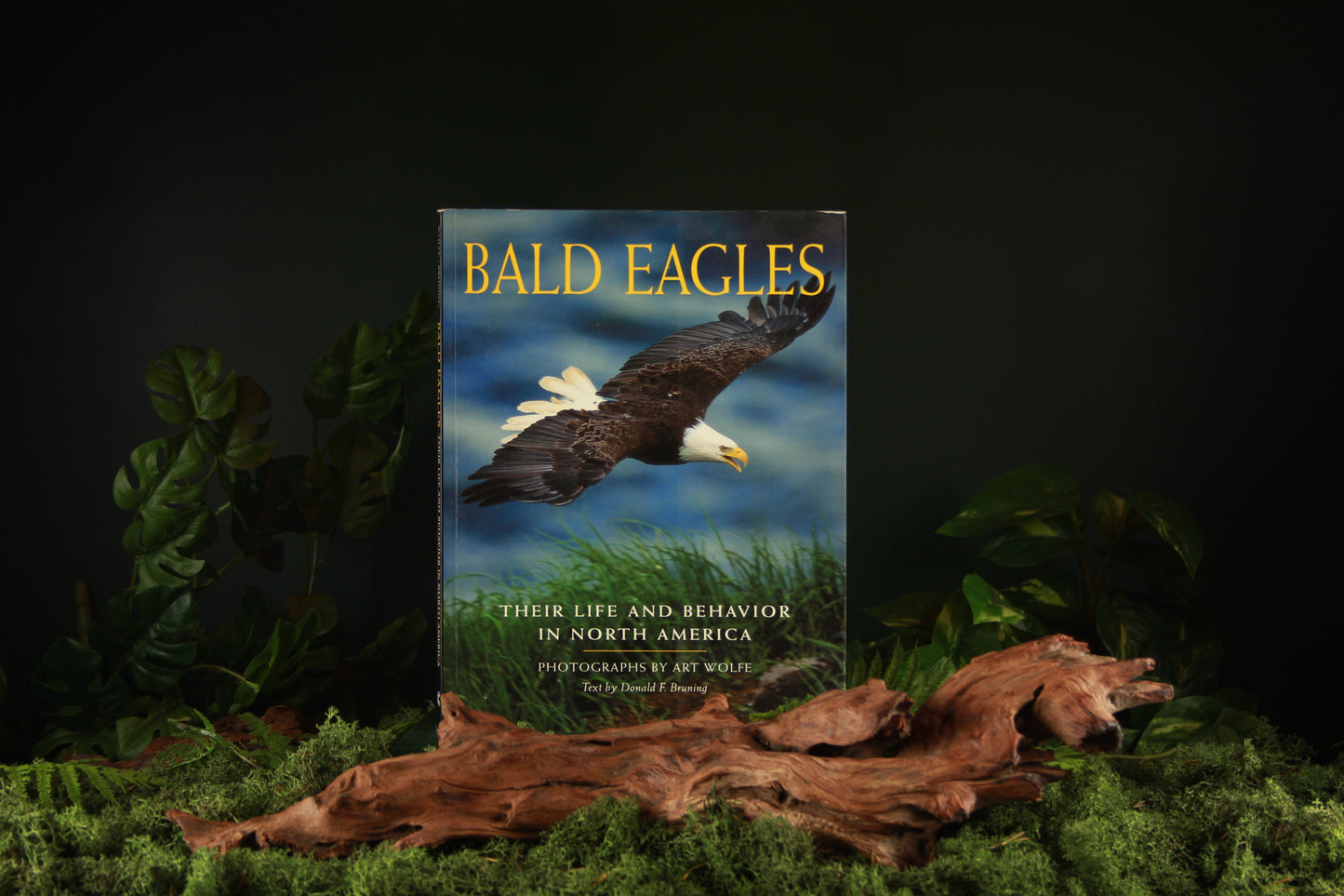 Bald Eagles - Donald F. Bruning