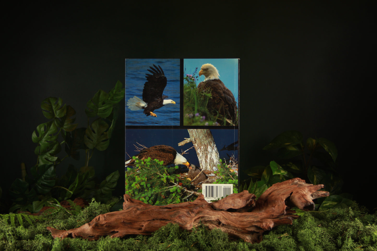 Bald Eagles - Donald F. Bruning