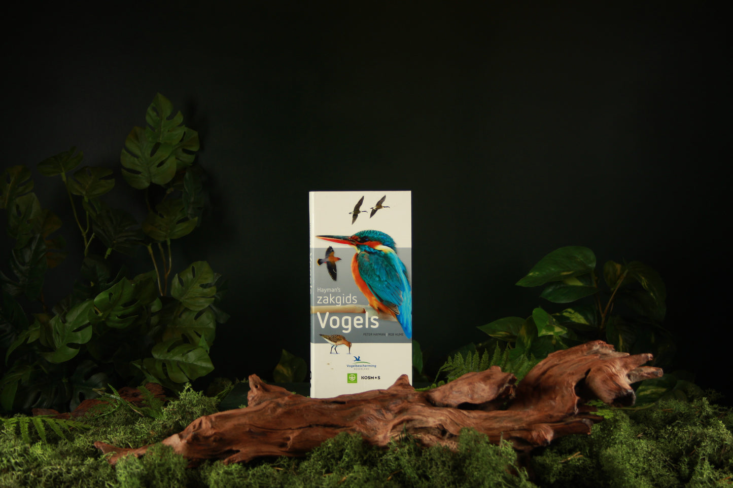 Hayman's zakgids vogels - Peter Hayman