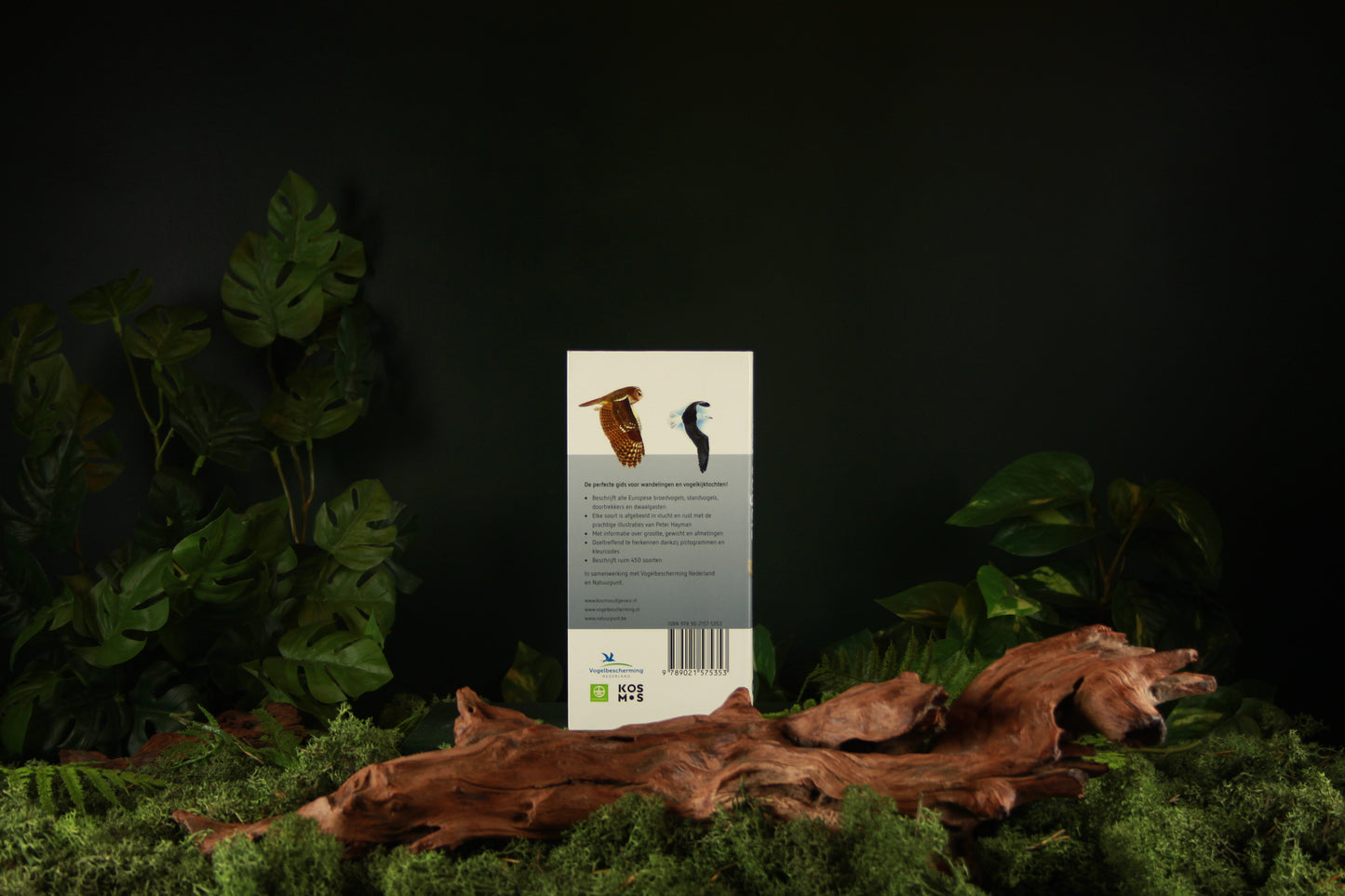Hayman's zakgids vogels - Peter Hayman