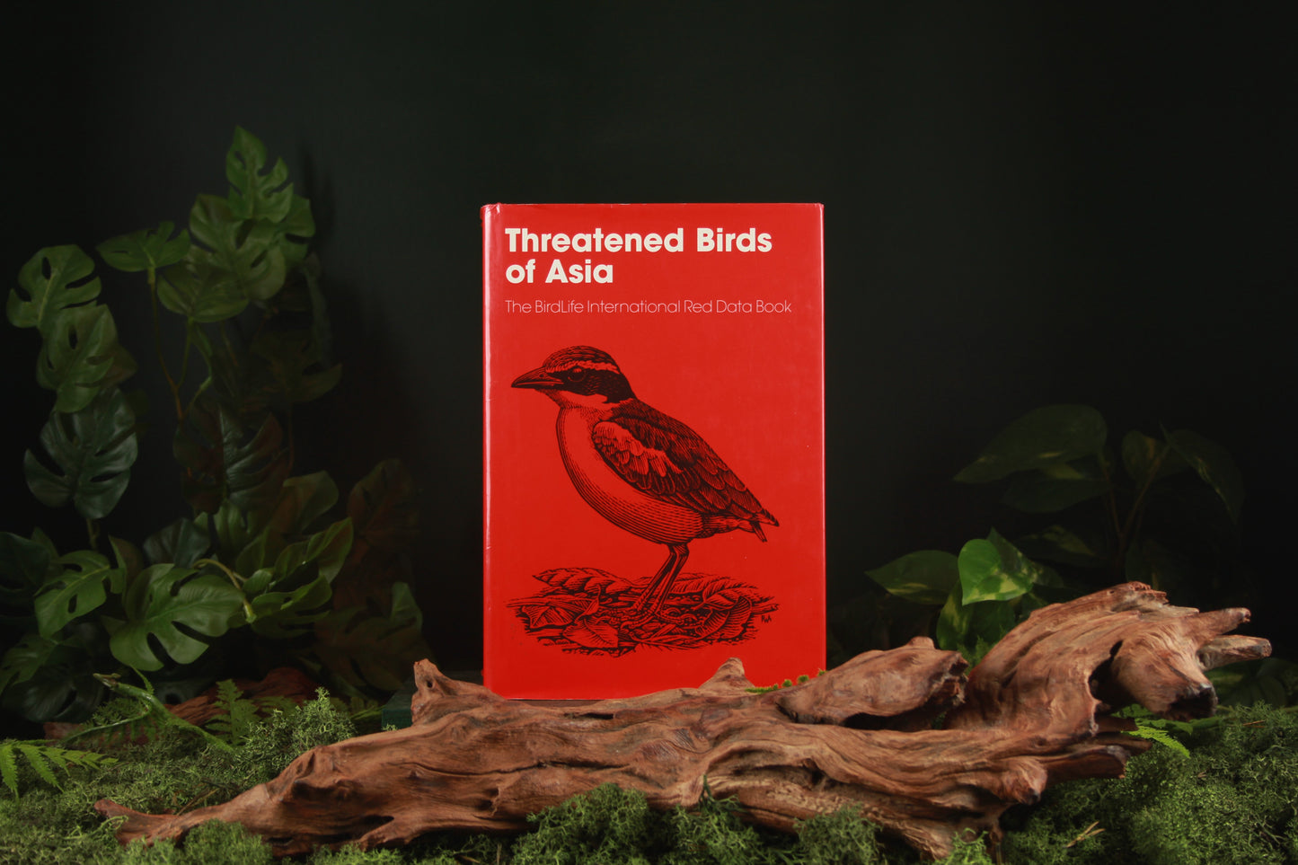 Threatened birds of Asia part A + B - Bird Life International