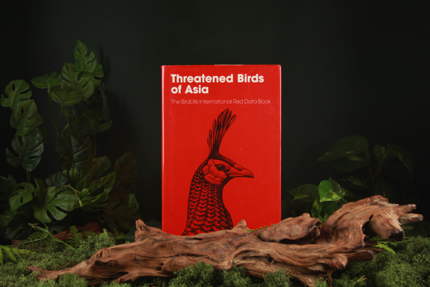 Threatened birds of Asia part A + B - Bird Life International