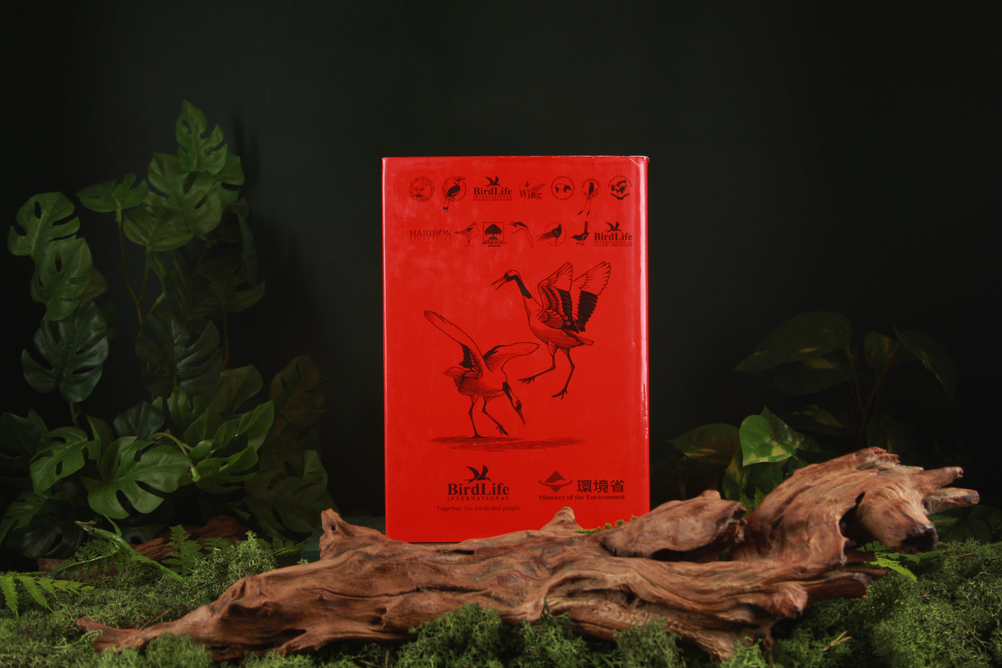 Threatened birds of Asia part A + B - Bird Life International