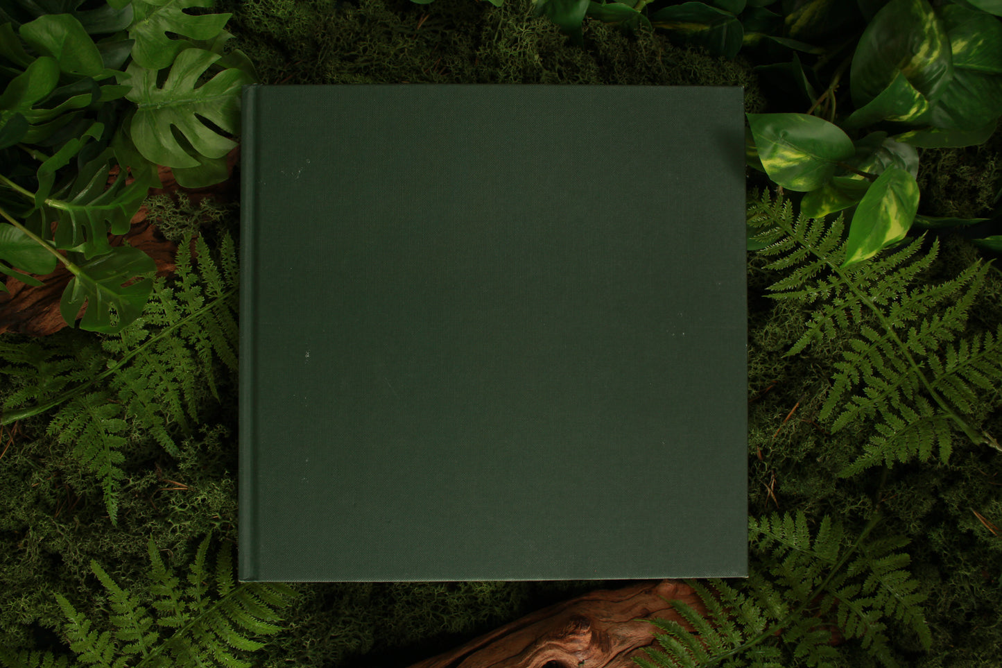 Tuinieren met decoratieve bladplanten - Susan Condor