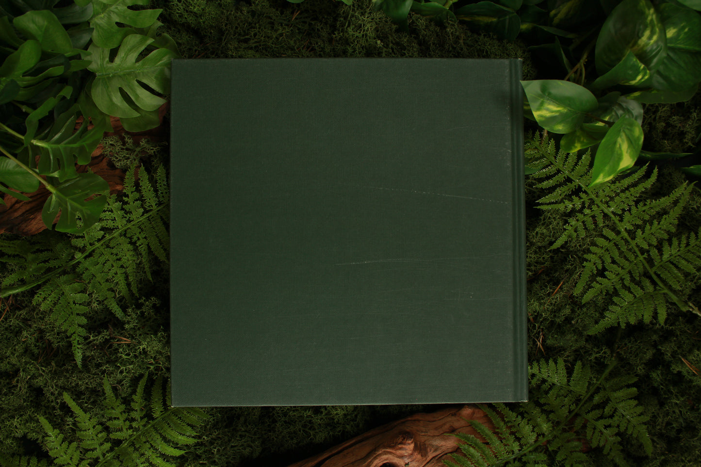 Tuinieren met decoratieve bladplanten - Susan Condor