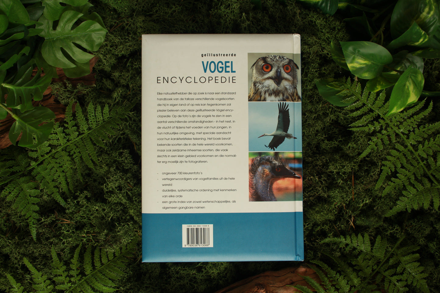 Geïllustreerde vogel encyclopedie - Vladimír Bejcek en Karel Štastný