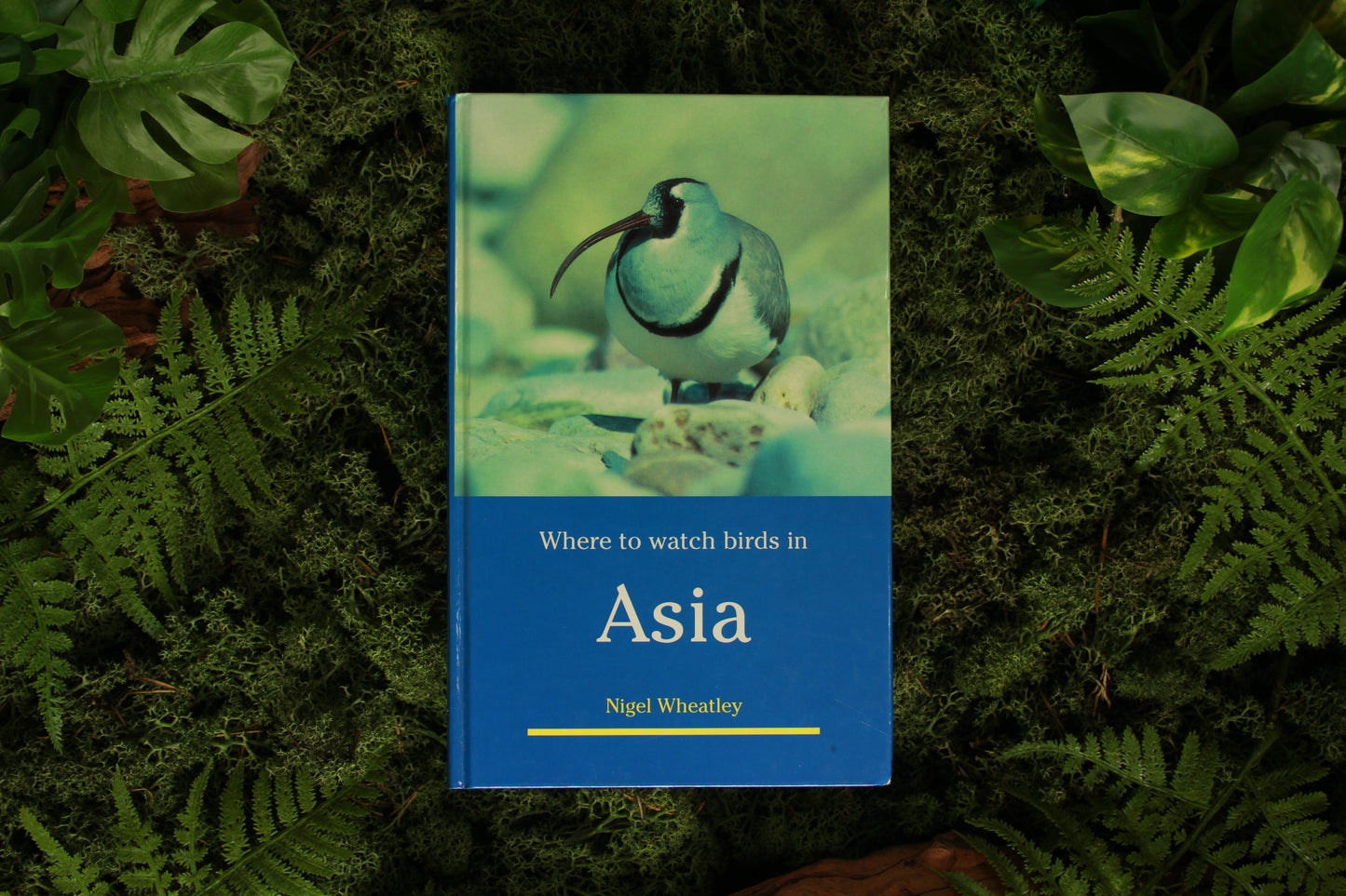 Where to watch birds in Asia - Nigel Wheatley
