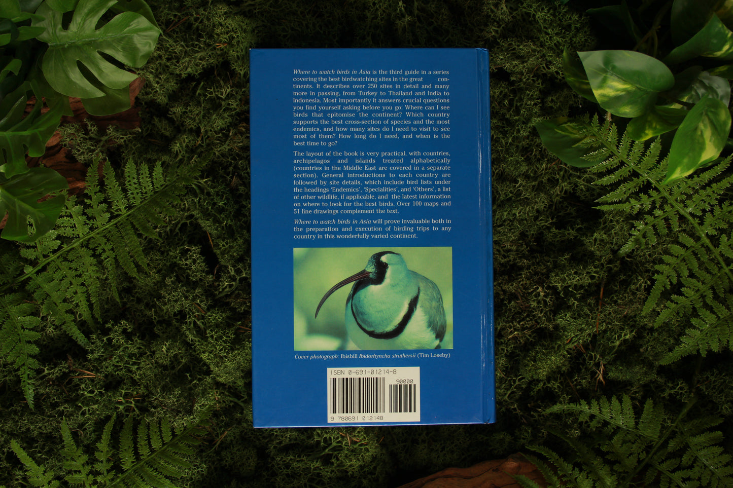 Where to watch birds in Asia - Nigel Wheatley