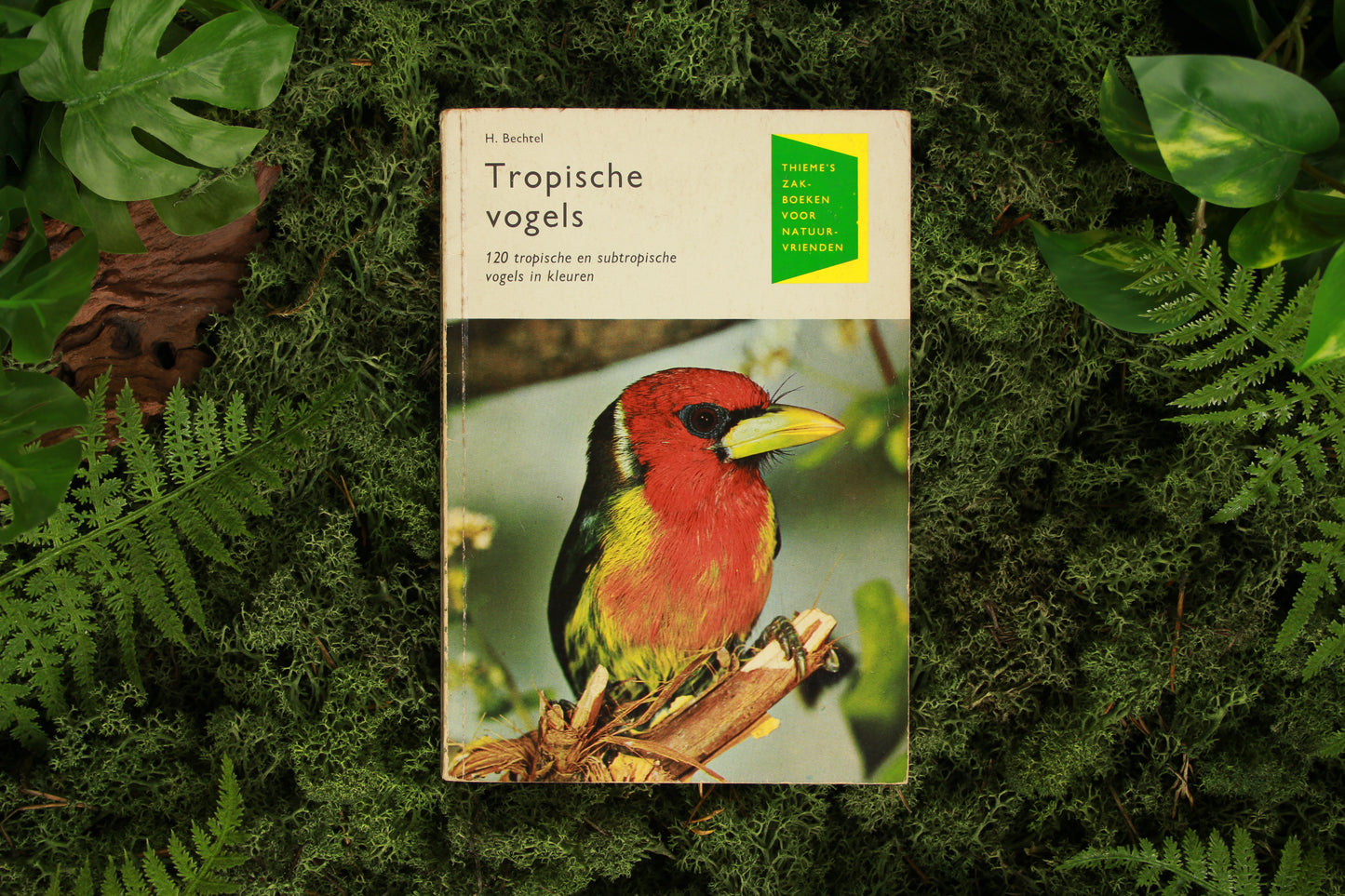 Tropische vogels - H. Bechtel