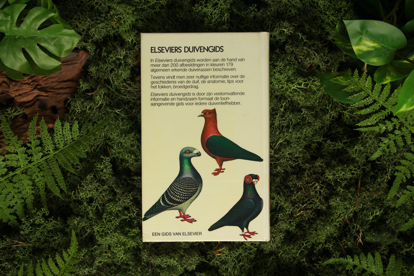Elseviers Duivengids - Andrew McNeillie