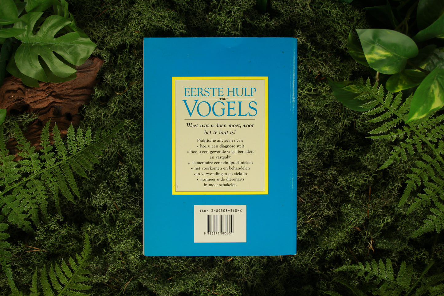 Eerste hulp voor Vogels - Tim Hawcroft
