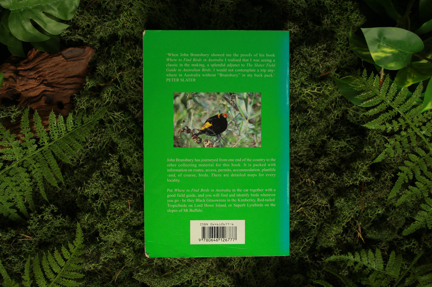 Where to find Birds in Australia - John Bransbury
