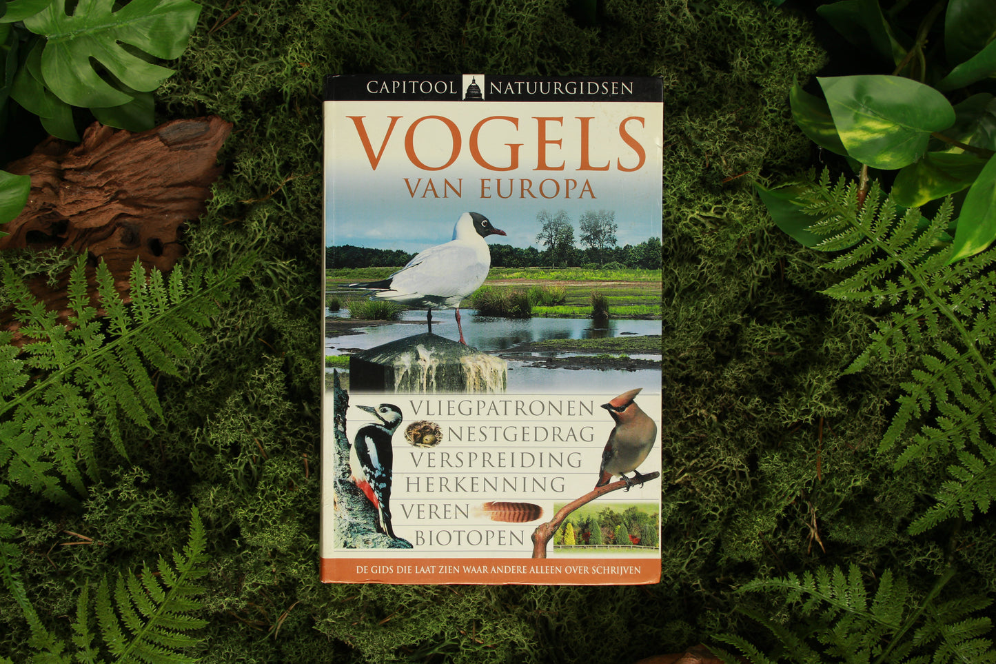 Vogels van Europa - Rob Hume