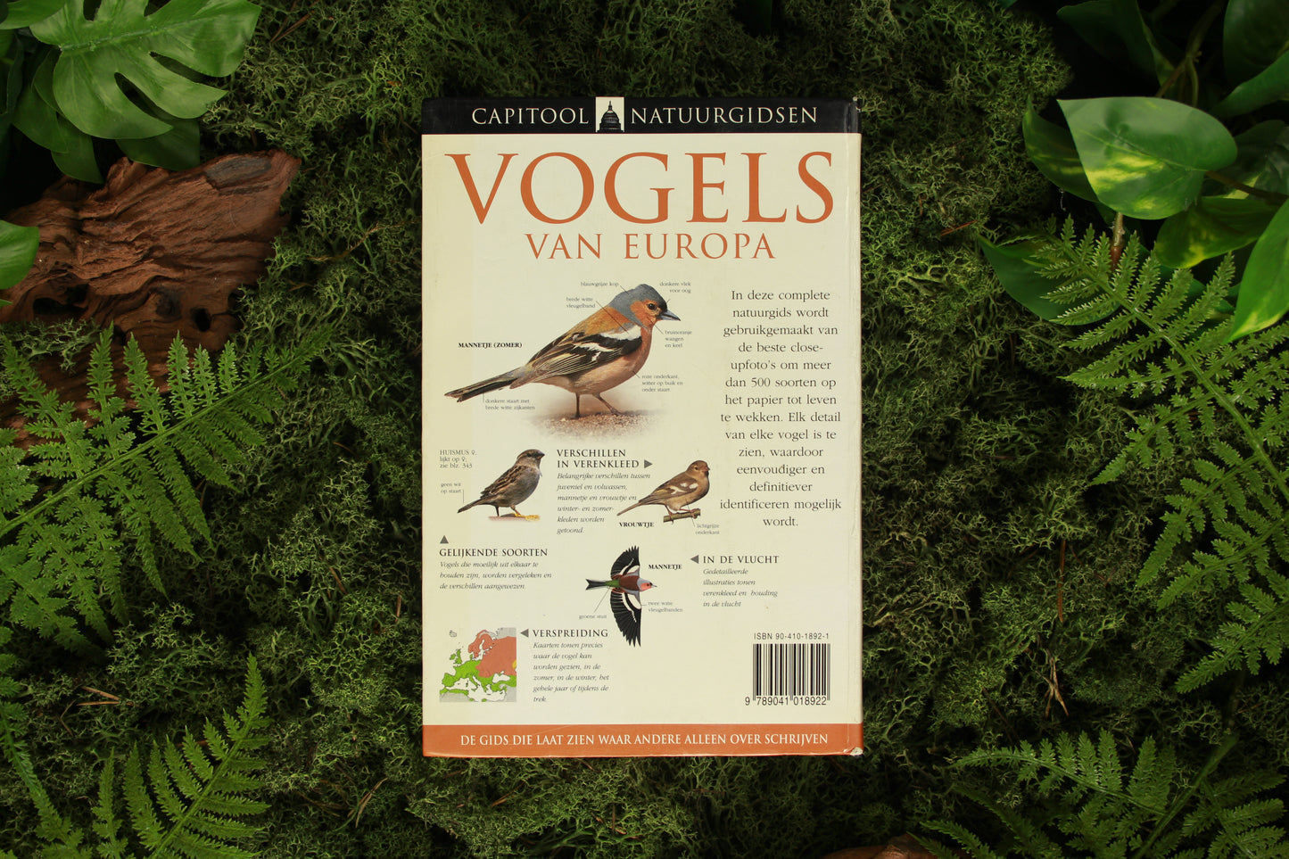 Vogels van Europa - Rob Hume