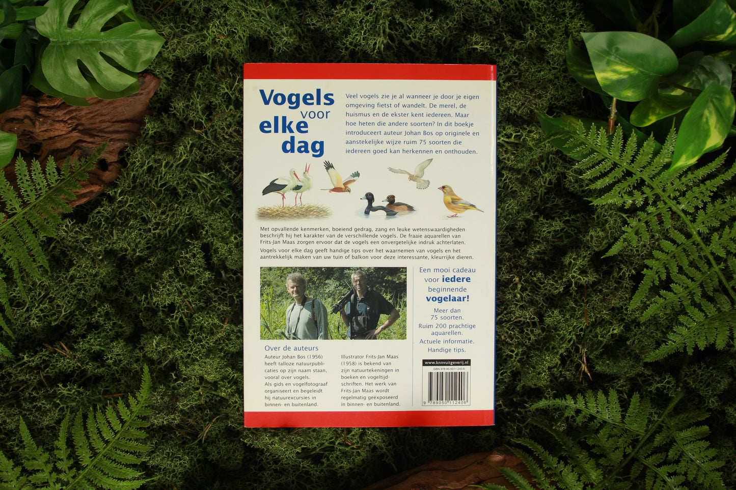 Vogels voor elke dag - Johan Bos