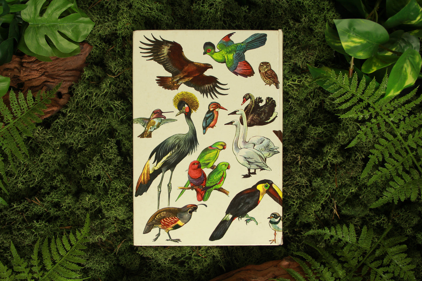 Vogels der wereld - Hans Hvass