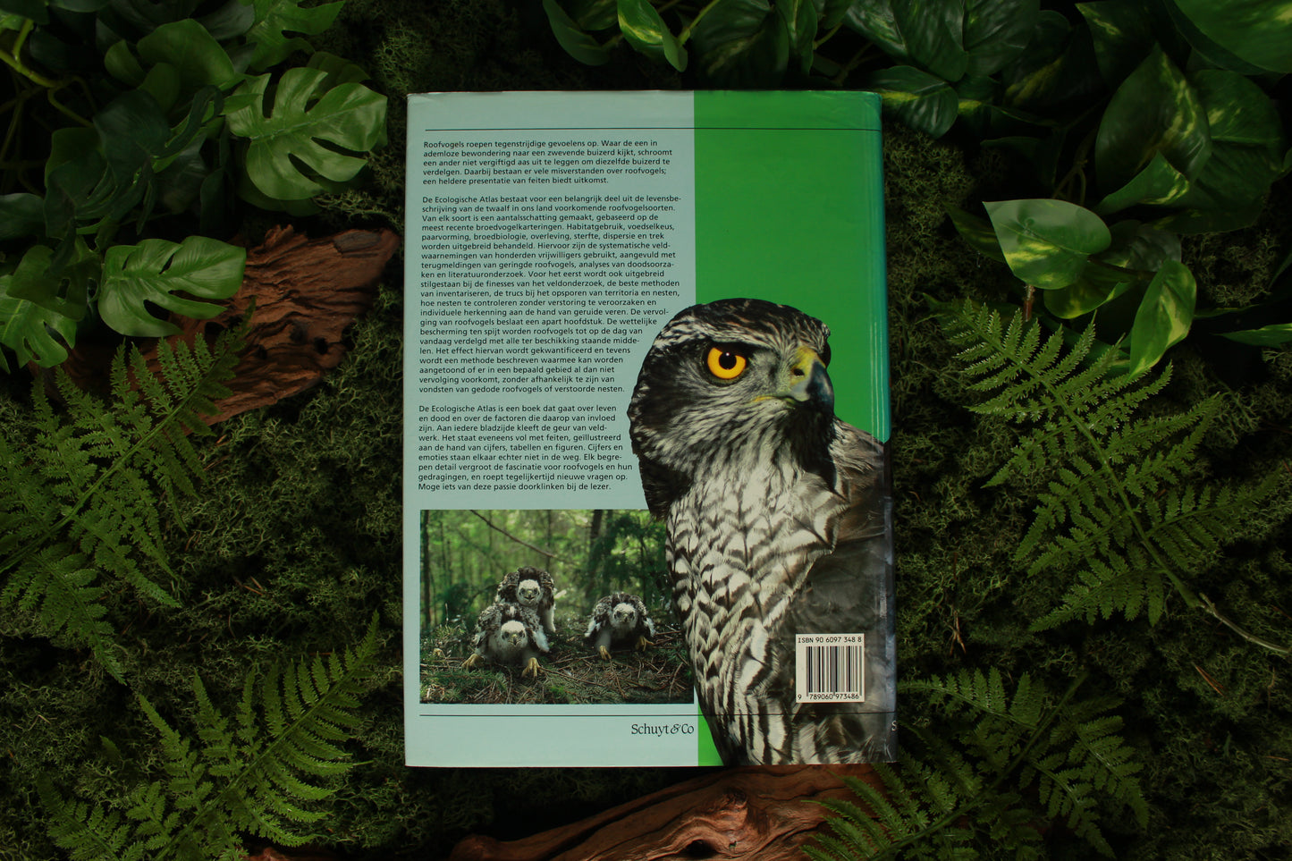Ecologische atlas van de Nederlandse Roofvogels - Rob G. Bijlsma
