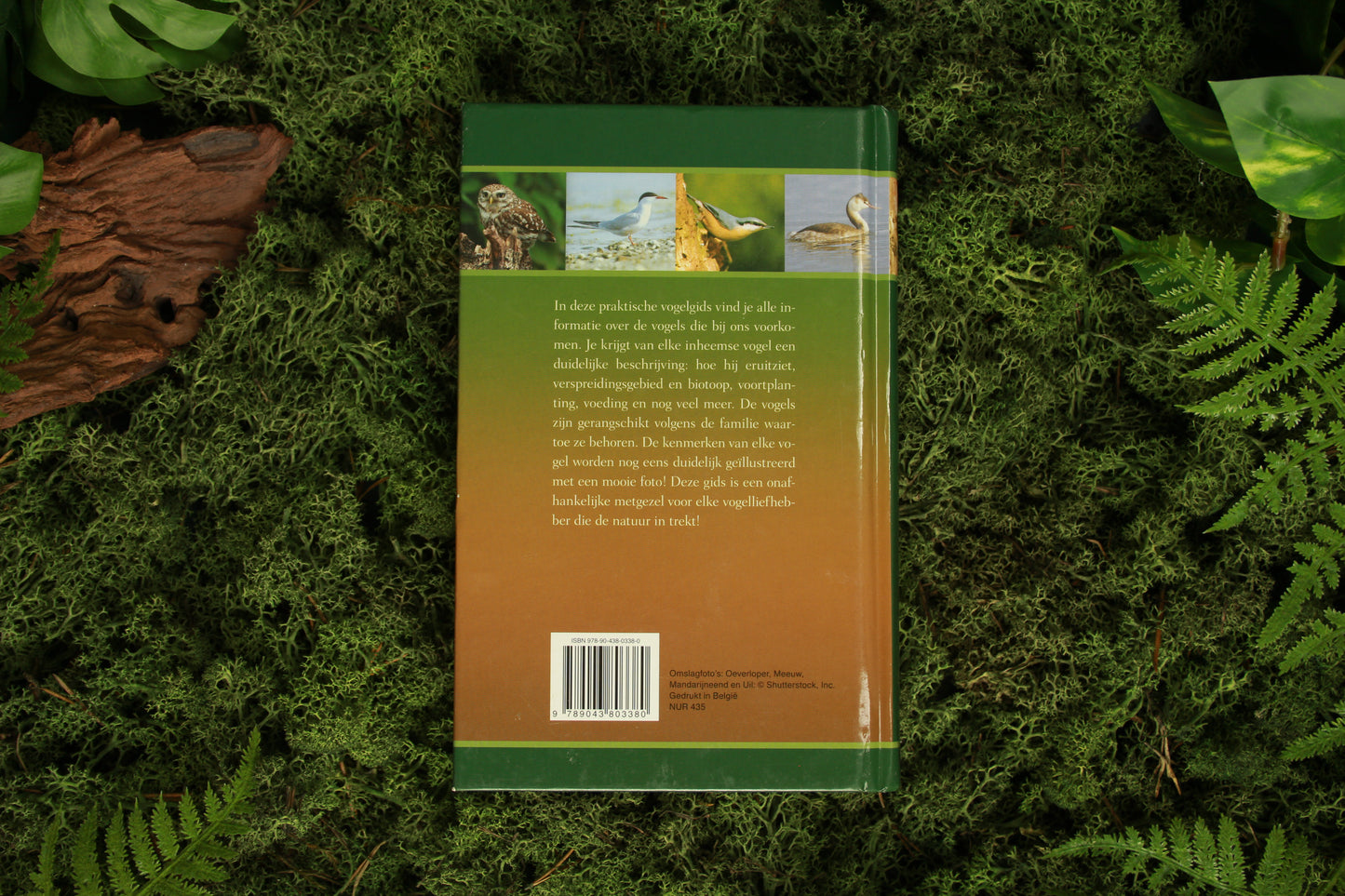 De complete vogelgids - Michael Lohmann