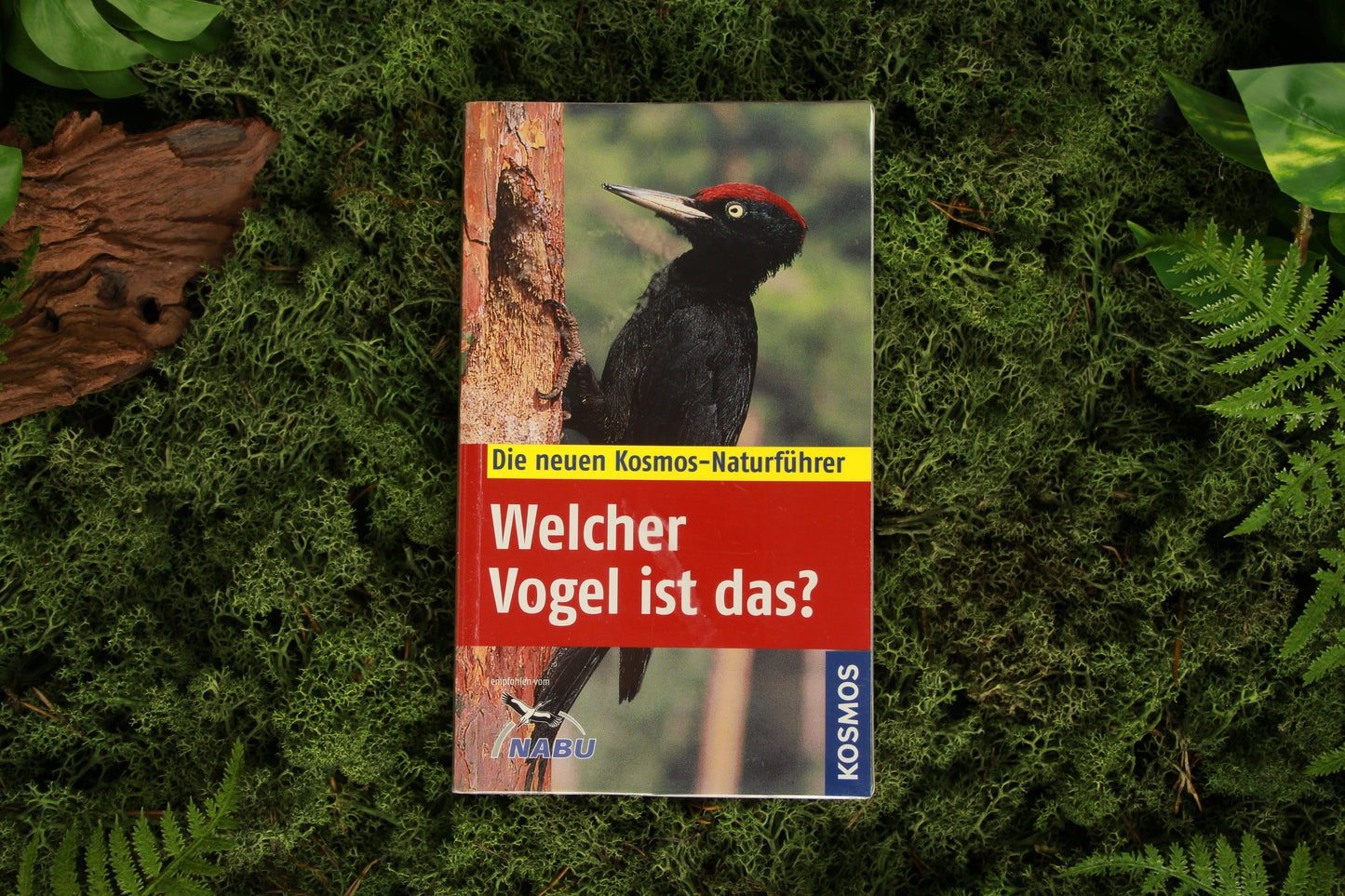 Welcher vogel ist das? - Volker Dierschke