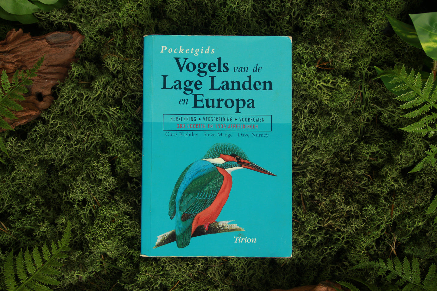 Vogels van de lage landen en Europa - Chris Kightley