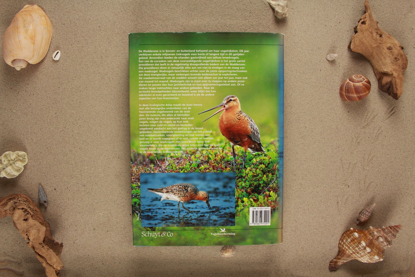 Ecologische atlas van de Nederlandse wadvogels - Jan v.d. Kam
