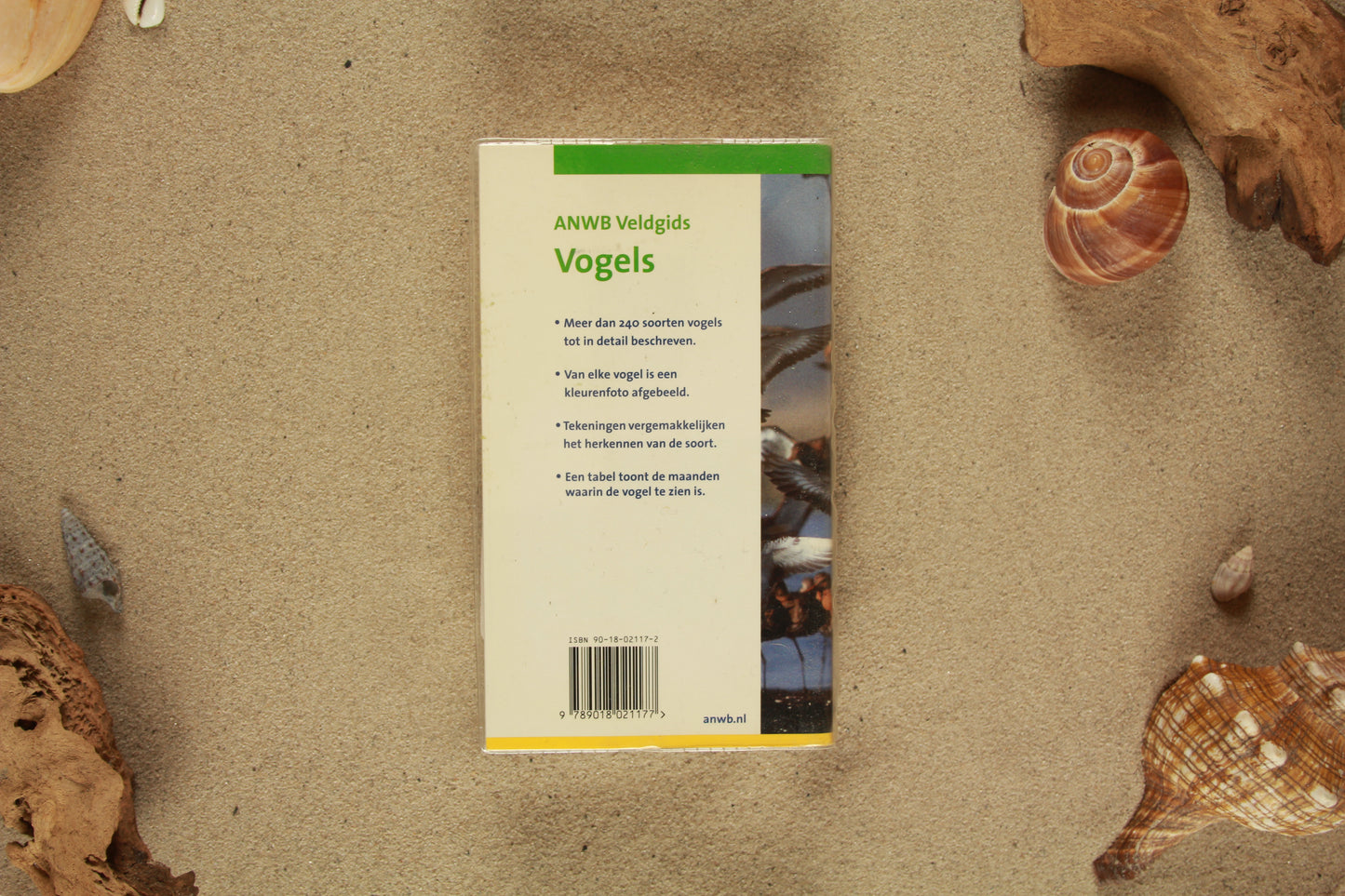 ANWB veldgids vogels - Peter Holden