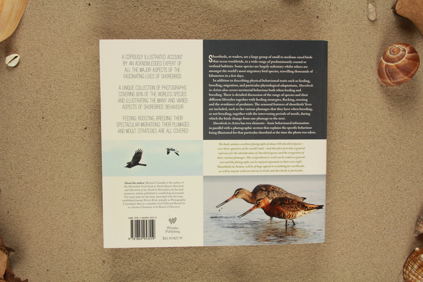 Shorebirds in Action - Richard Chandles