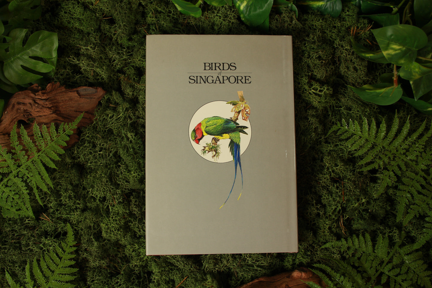 Birds of Singapore - Frank Jarvis