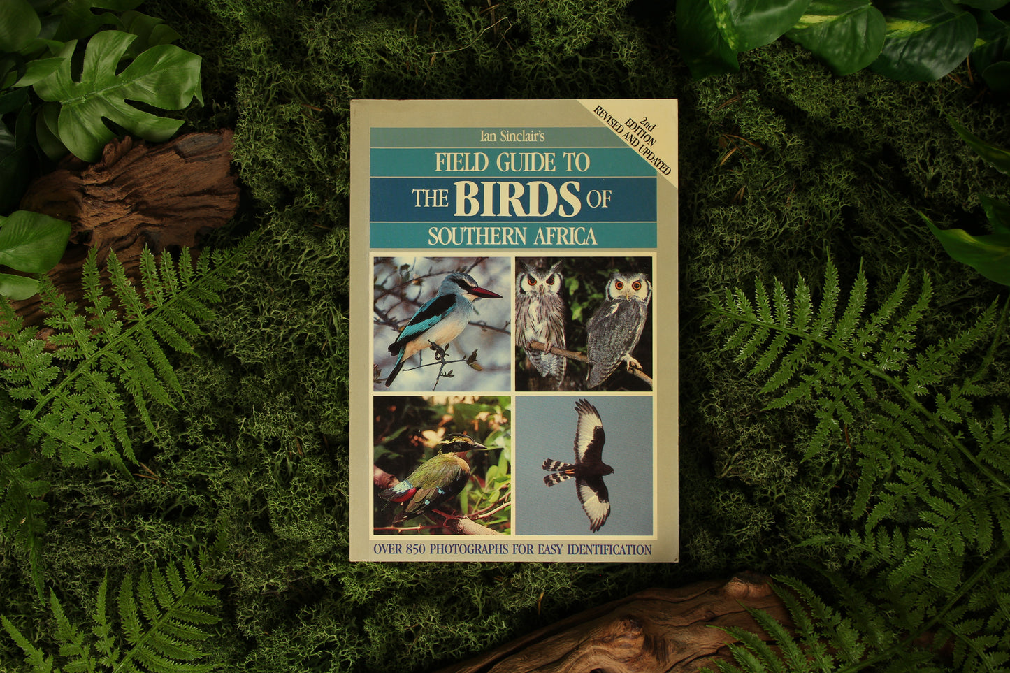 Field Guide to Birds of Southern Africa – Ian Sinclair