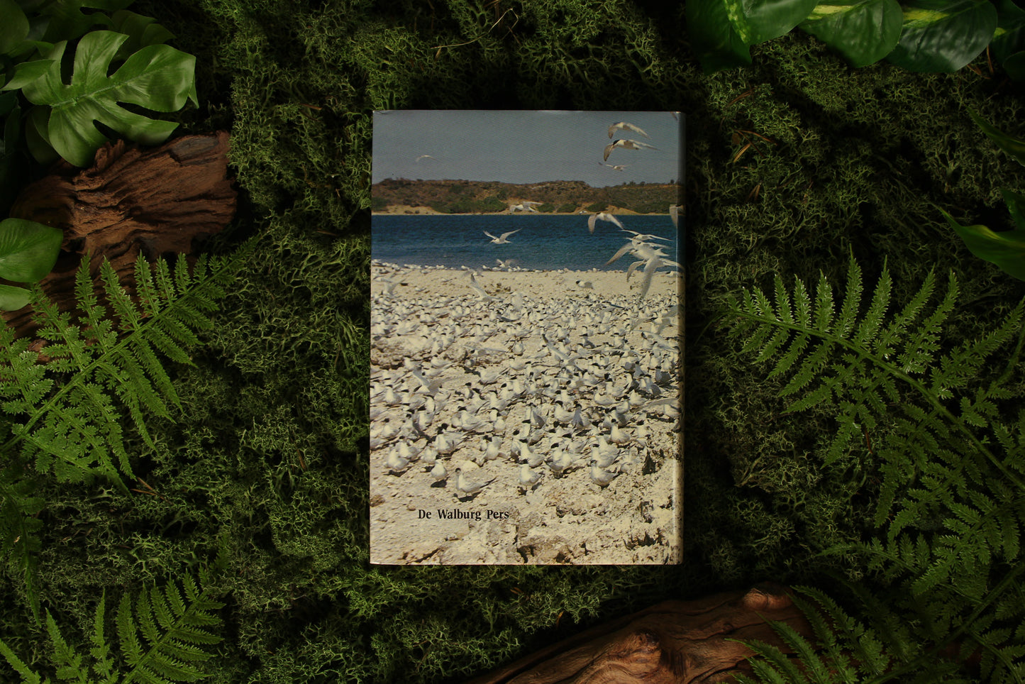 Birds of the Netherlands Antilles – K.H. Voous