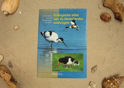 Waddeneiland boekenpakket