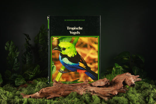 Tropische Vogels - Girgitta Bouland