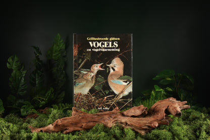 Geillustreerde gids vogels en vogelwaarnemingen - Neil Ardley