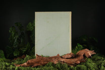 Elseviers vogelatlas