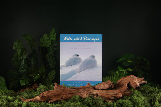 White-tailed Ptarmigan - Joyce Gellhorn