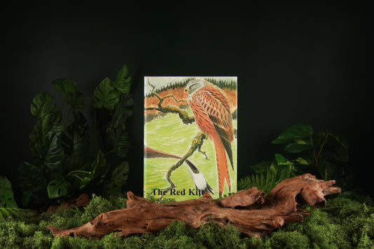 The Red Kite - Ian Carter