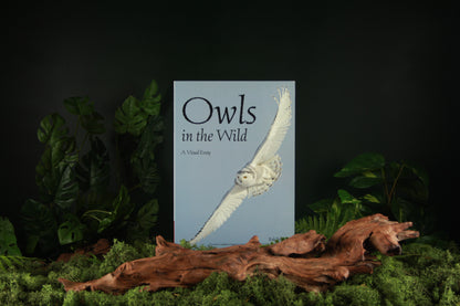 Owls in the Wild - Rob Palmer