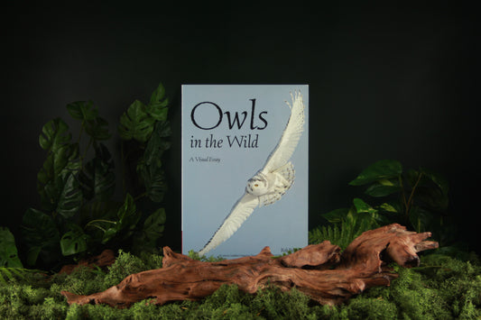Owls in the Wild - Rob Palmer